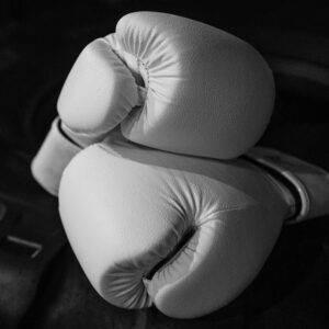 Boxing Gloves