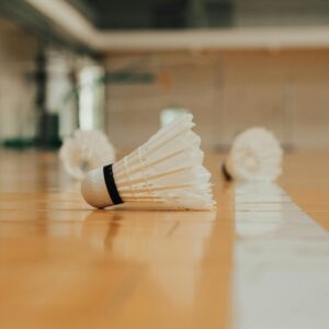 Shuttlecock