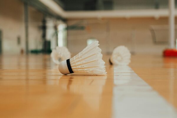 Shuttlecock