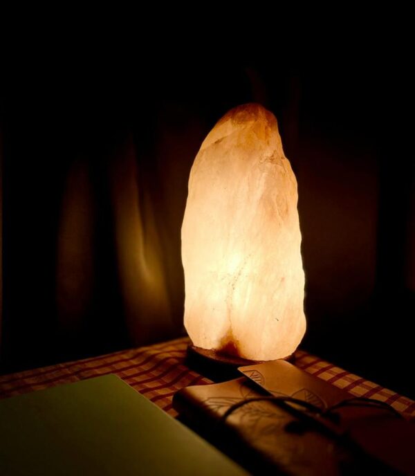 Pink Salt Lamp
